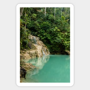 Rainforest waterfall with green lake Magnet